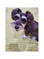 オーブ ヘアー カレン 長崎時津店(AUBE HAIR calen)&nbsp;#愛犬#アム