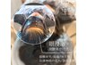 【眼浸浴】脳と眼球が蒸されるような不思議な時間◇目の疲れ/脳の休憩時間♪