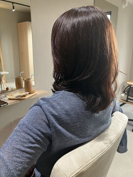 本と南風 guest design