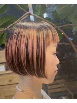 ハシ(hasi) あんぶれーら