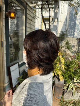 チョコレート(chocolate) ソフトウルフ