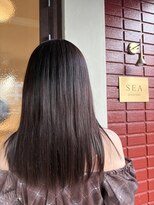 シー(SEA)&nbsp;深みカラー艶ロング