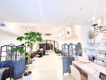 Vitola【ビトラ】