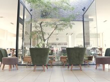 セリオミアイ(serio miai)の雰囲気（店内中央部に、存在感のある大きな木が上質空間を演出。）