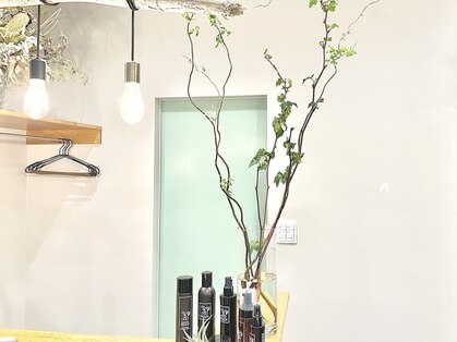 ハルリ(HaRuRy)の写真