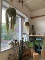 アニー(annie) 観葉植物