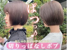 ‐いま可愛すぎる‐ぱつっとストンボブ