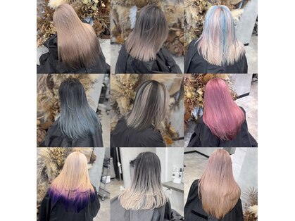 ザンカ(ZANKA)の写真