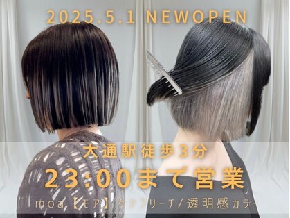 モア(moa)の写真