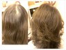 【ヘアループ】根元にボリューム！ヘア３Dエクステ300本 ￥15,000→￥14,000