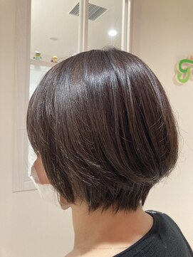 シャンプーボーイ ショート