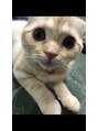 アイル ヘア(AiRU hair) 実家でですが猫ちゃん飼ってます♪