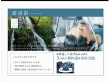 ココフルール(Coco fleur)の雰囲気（頭浸浴も始めました）
