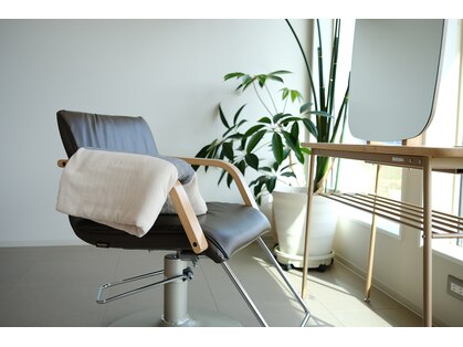 きいろとみどりとニワ(きいろとみどりとniwa)の写真