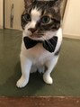 ベルクープス 天王寺店(Belle Coupes) 愛猫、~10歳ビビです