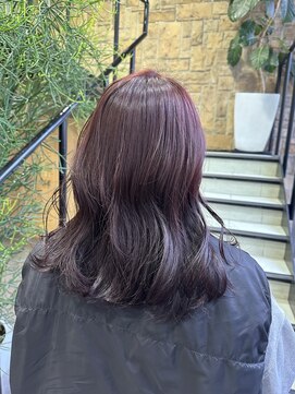 ゼスト 吉祥寺店(ZEST) チェリーブラウン