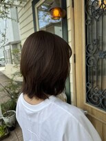 チョコレート(chocolate)&nbsp;ソフトウルフ