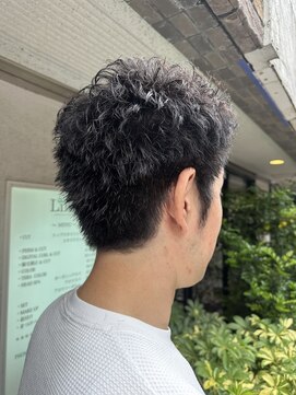 リンク(Link) ナチュラルショート