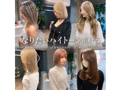 スエラ(suera)の写真