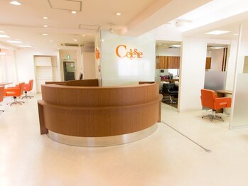 美髪革命CELESTE 荻窪店【セレスト】