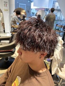 トレイル(Trail) ツイスパマッシュウルフ