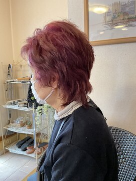 カラーサロン ウィング(Wing) グレイカラー