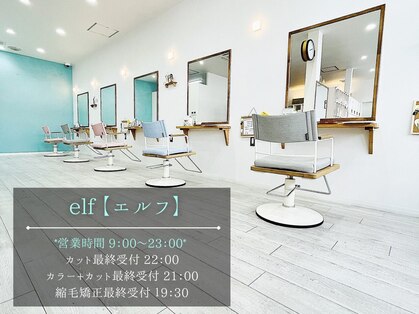 エルフ(elf)の写真