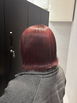 ルクス スマートサロン(Luxs SmartSalon)&nbsp;チェリーレッド