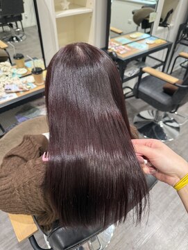 ココット 京橋店(cocotte) カシスレッド