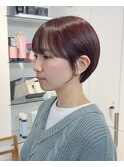 くびれヘア/アプリコットオレンジ/レイヤー/ショートボブ/韓国
