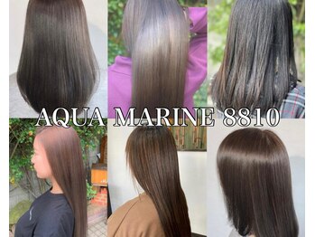 AQUA MARINE 8810　北習志野店