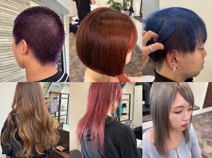 フィグ(Fig)の写真
