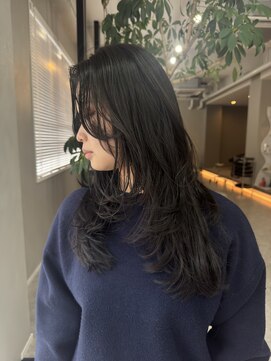 ダイアモンドリリーキートス(Diamond Lily kiitos) 黒髪カタログ/クラゲヘアー/オリーブグレー/一宮