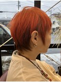 ハイトーンカラー
