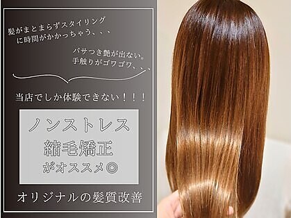 キッカ(Kikka)の写真