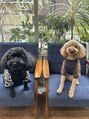 シーモアアンドサンズ(Seymour and Sons)&nbsp;愛犬のボビイとエトです！犬好きの方是非！成長記→@wtnbmss