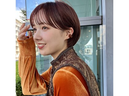 シック(CHIC)の写真