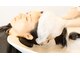 サスペンドヘアー(suspend hair)の写真