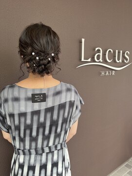 ラクス(Lacus) シニヨン