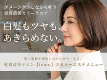 ツム(tumu)の雰囲気(髪質改善エステで頭皮にも髪にも優しく白髪もカバーができる◎)