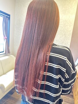 ラナンキュラス(Ranunculus) 春色カラー