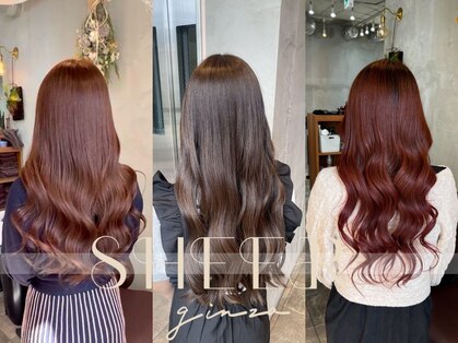 シアー 銀座店(SHEER.)の写真