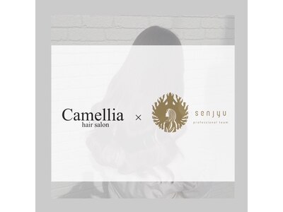 カメリア センジュサッポロ(Camellia SENJYU SAPPORO)