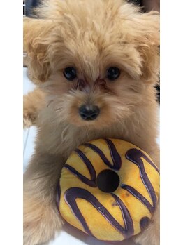 ヘアデザインワークスエヌナナジュウヨン(Hair Design Works N74)の写真/メンズパーマやポイントパーマなど幅広く対応◎初めての方でも緊張せずに理想のスタイルが叶います