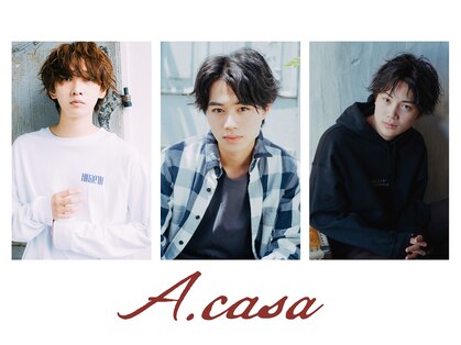 アカサ(A.casa)の写真