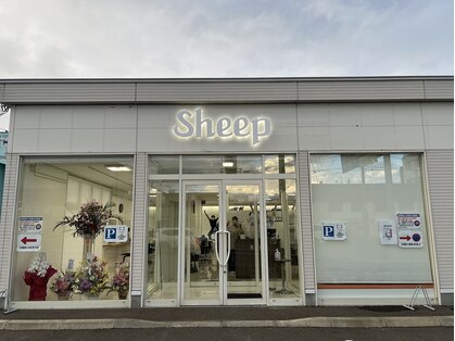 シープ(The Salon Sheep)の写真