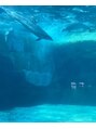 アンジュ グリーンパーク店(ange)&nbsp;私の癒し水族館