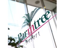パームツリーリゾート(Parm tree resort)