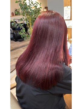 ランプ 柏(Lamp) ワインレッド