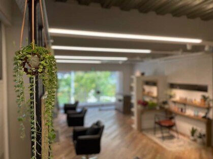 トエ(toe)の写真